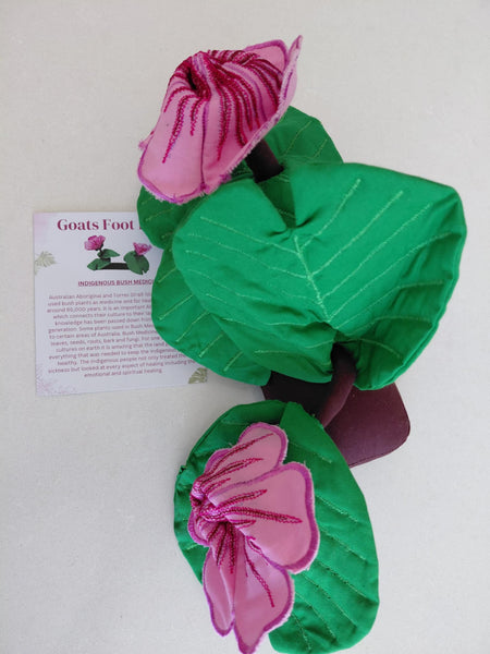 Indigenous Bush Medicine Plant Kit