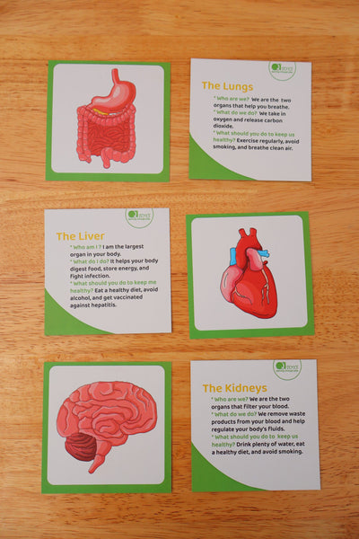 Human Anatomy Puzzle
