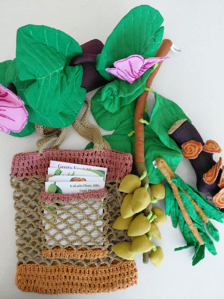 Indigenous Bush Medicine Plant Kit