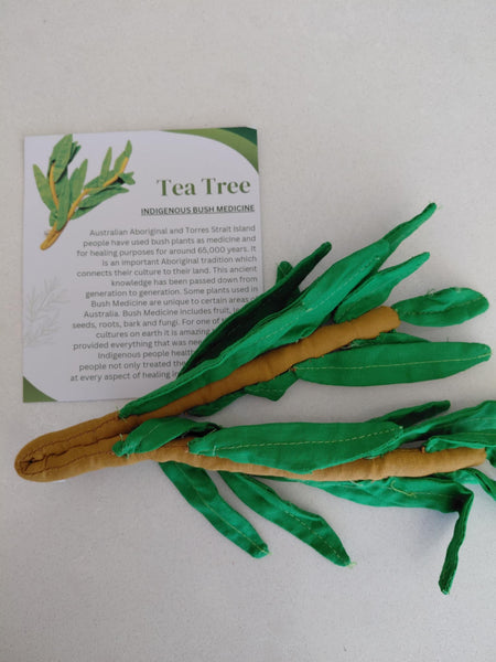 Indigenous Bush Medicine Plant Kit