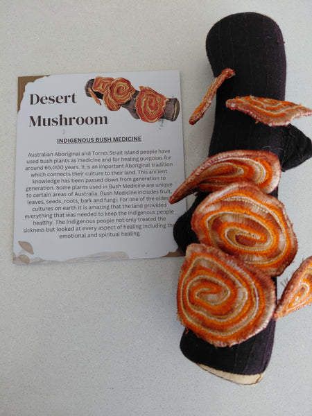 Indigenous Bush Medicine Plant Kit