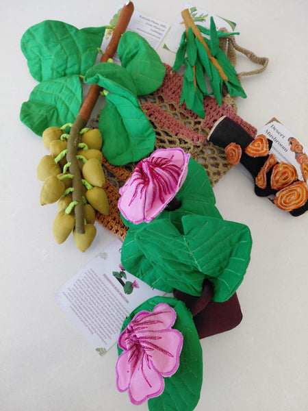 Indigenous Bush Medicine Plant Kit